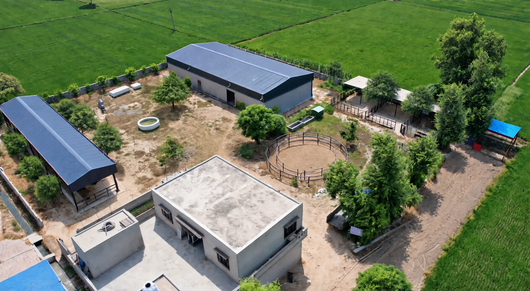 Livestock farm complex